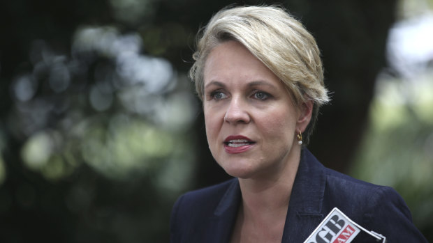 Deputy Federal Opposition Leader Tanya Plibersek.