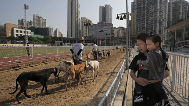 Visitors look on as the greyhounds are exercised on the closed racetrack.