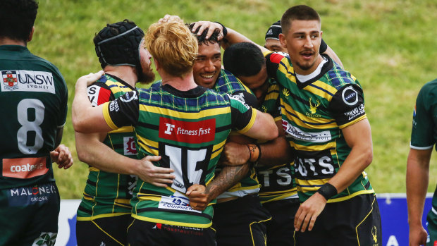 Gordon celebrate a try during their run to the Shute Shield final.