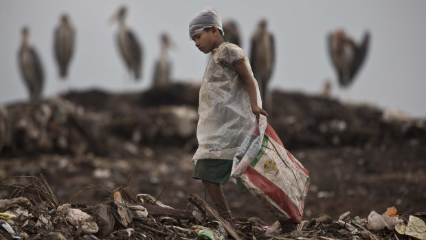 An Indian ragpicker boy searches for recyclable material  at a garbage dump on the outskirts of Gauhati, Assam state, India.