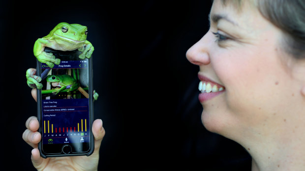 The (frog-approved) FrogID app on a smart phone.