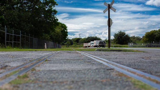 While Gibson Island is an industrial hub today, there are reminders that it was once thickly covered by vegetation.