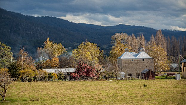 Take in the autumn colours of the Huon Valley.