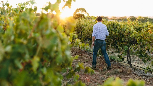 Peter Lehmann in the Barossa Valley.