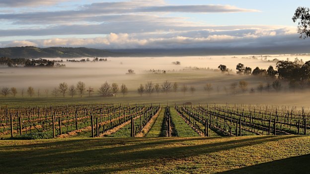 Mount Mary Vineyard in the Yarra Valley.