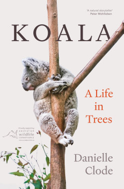 Danielle Clode’s Koala: A Life in Trees.   