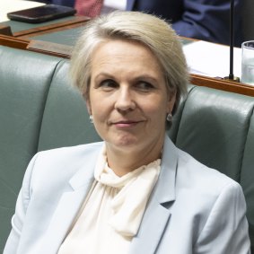 Federal Environment Minister Tanya Plibersek.