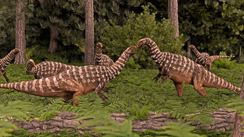 Australia’s oldest dinosaur fossil was found in which suburb? Take the Brisbane Times Quiz