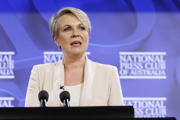 Minister for the Environment and Water Tanya Plibersek addresses the National Press Club on Tuesday.