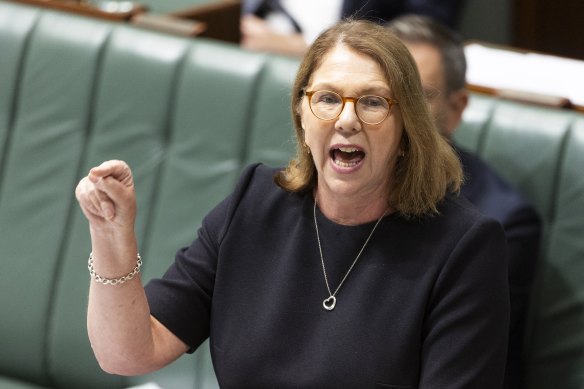 Transport Minister Catherine King dubbed the Coalition the ‘Chicken Littles’ of politics.