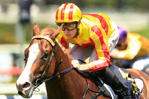 Quackerjack can cap off a big year for trainer Mark Newnham in Saturday's Villiers Stakes at Randwick.