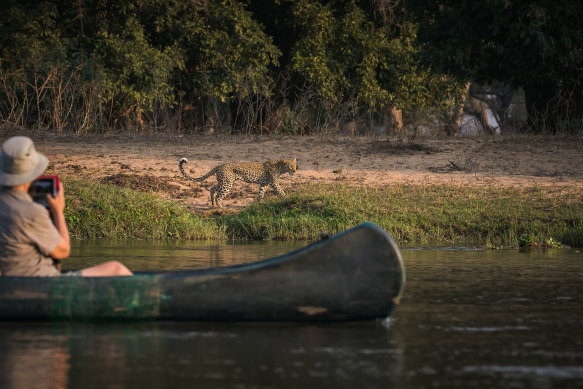 Croc advice? Keep limbs out of the water.
