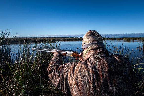 A duck hunter at Connewarre Wetland, on the Bellarine Peninsula, earlier this month.