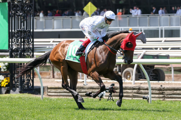 Queen of Dragons will chase a group 1 win of her own in Saturday’s Vinery Stud Stakes.