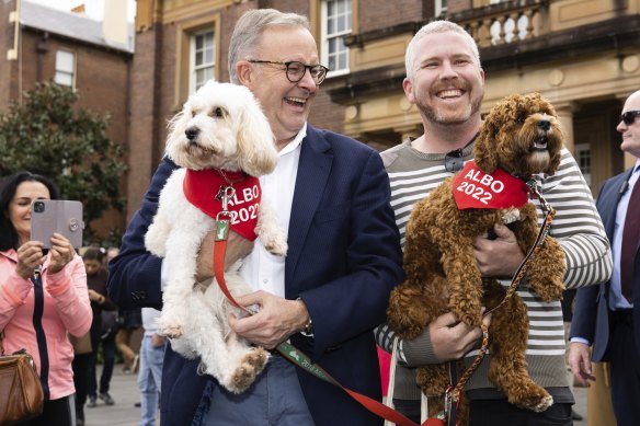 Labor leader Anthony Albanese and his dog Toto greet voter Matt Eastman with his pet Chester.