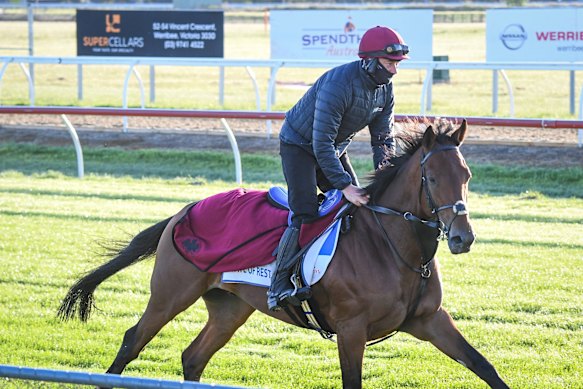 Cox Plate contender State Of Rest.