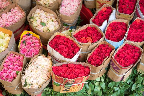 Roses at Ho Chi Minh’s vibrant Ho Thi Ky flower market.