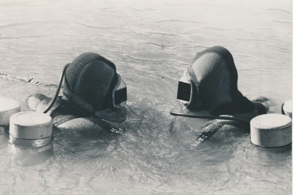 Polcie divers surface during the search for the bodies of Rocco Medici and Giuseppe Furina in the Murumbidgee River in May 1984.