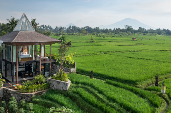 The green fields below Gdas Bali Health and Wellness resort, Ubud.