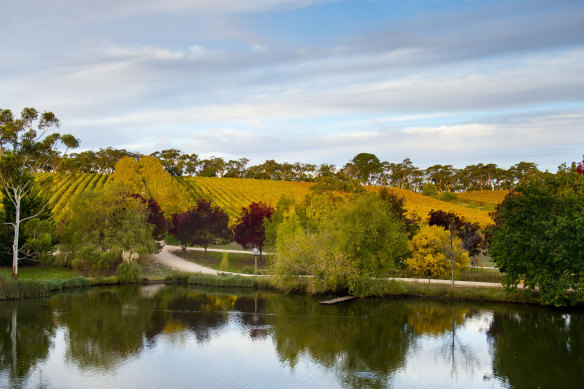 While Adelaide Hills (above) remains a popular tourist area, Adelaide itself has the characteristics of a stagnant regional centre. 