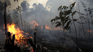 A fire burns trees and brush along the road to Jacunda National Forest in Brazil.
