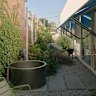 Unlike many single-fronted terraces that can feel cavernous and dark, this home benefits from generous glazing along the entire western elevation.