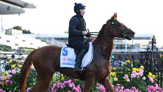 Melbourne Cup favourite Vauban.