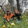 How flower-filled grasslands are finding their way into Melbourne’s CBD