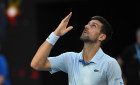 Novak Djokovic through to the Australian Open semi-finals.