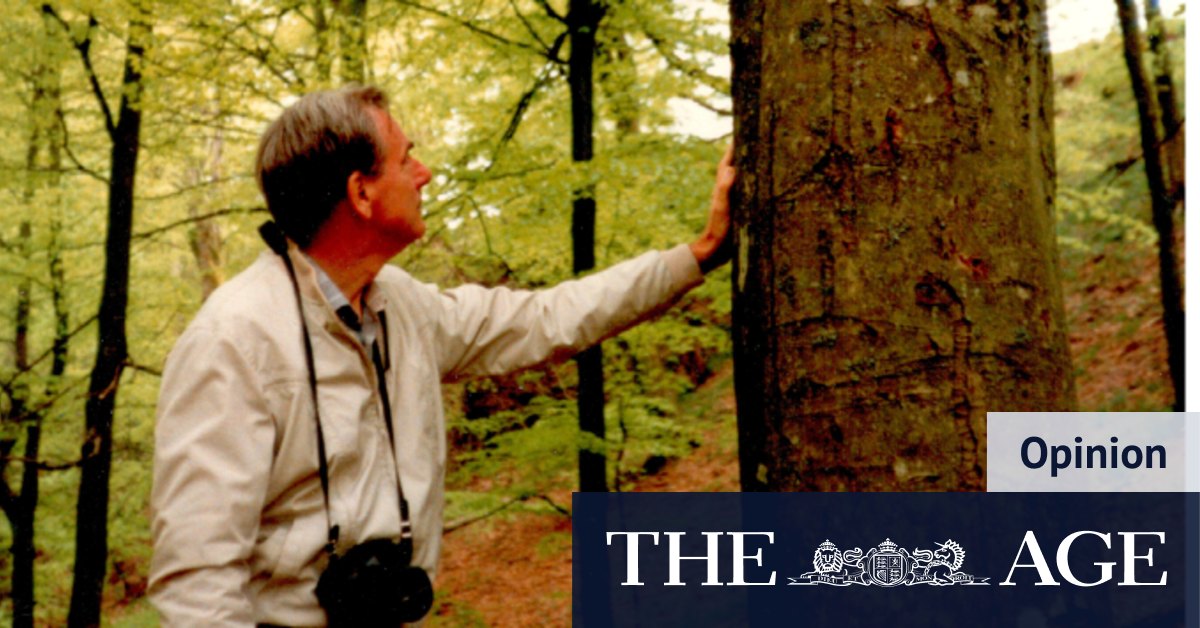 'Conscience' of forestry industry defended rain forest biodiversity - Vimarsana News