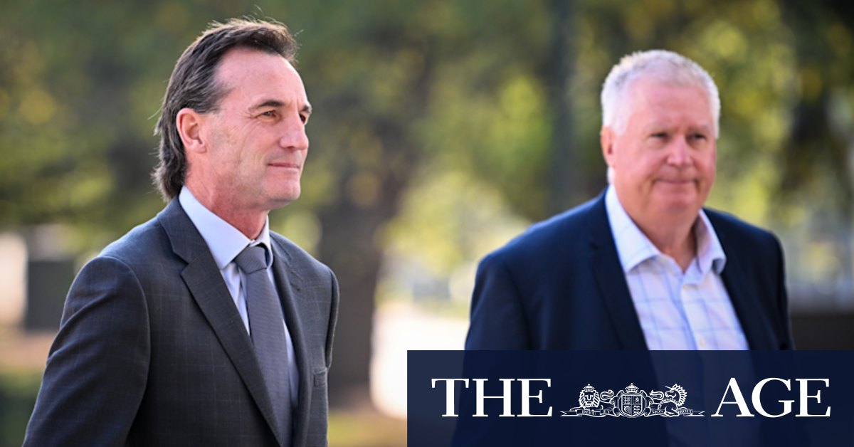 AFL hires Brisbane Lions CEO Greg Swann as head of soccer efficiency