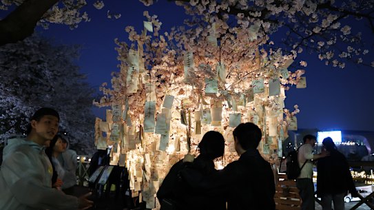 People walk beneath cherry blossoms at the Yeouido’s Yunjung-ro district in Seoul, South Korea.