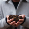 It’s truffle season! Here’s where to taste WA’s black gold – with Gary Mehigan as your guide