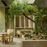 Golden Avenue will open next week in the CBD.
