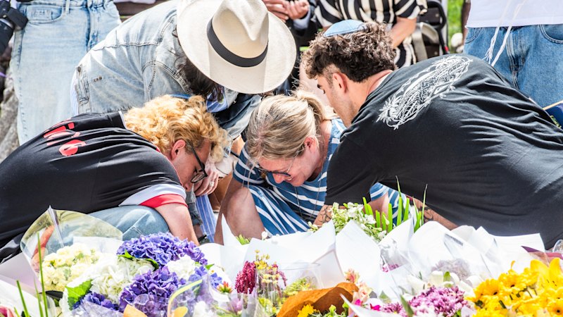 ‘Offensive’ cartoon demeans those calling for a royal commission