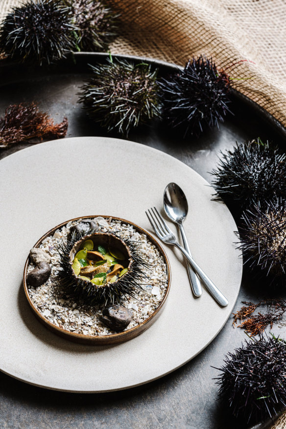 Sea urchin with fermented tomatillo juice.