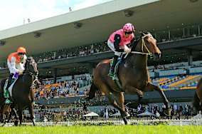 Costello romps home in the Rosehill Gold  Cup in October over the course and distance of the Lord Mayores Cup.