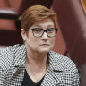 Foreign Minister Marise Payne hits out at Chinese, Russian 'disinformation'