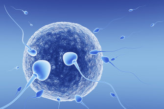 Computer-generated sperm and eggs