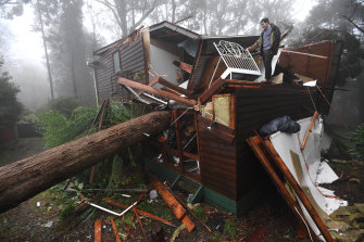 James Pickford was lucky to escape after a large tree smashed through his bedroom, missing his bed by less than a metre in Olinda. 