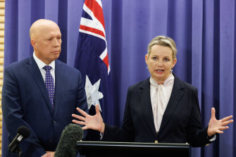 New deputy leader of the Liberal party, Sussan Ley, addressing the media today.