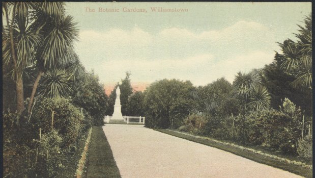 An early 1900s postcard depicting the gardens' central pathway when it was lined with Cordyline australis.