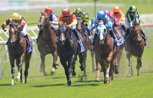 Canterbury will host an eight-race meeting on Wednesday.