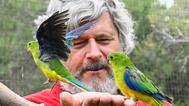 Michael Johnson owns Moonlit Sanctuary wildlife park, the only privately-owned zoo to breed the orange-bellied parrot.