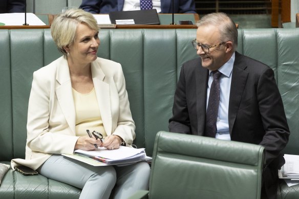 Environment Minister Tanya Plibersek with Prime Minister Anthony Albanese.