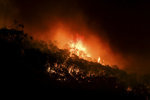 Fires sweeps through the Snowy Mountains region in January 2020.