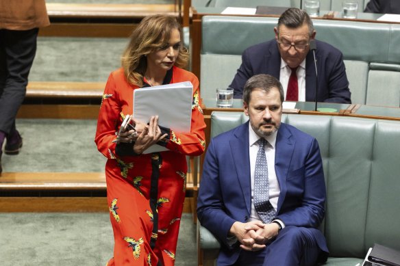 Early Childhood Education Minister Anne Aly and Industry Minister Ed Husic (front) during question time on Thursday.