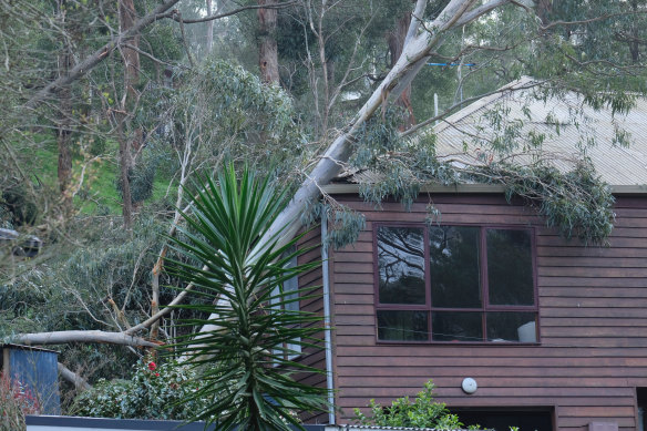 Photo of house damage at Apsley Rd in Belgrave.