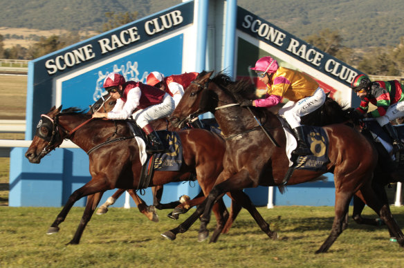Scone will host the first Hunter Valley meeting of the new season.