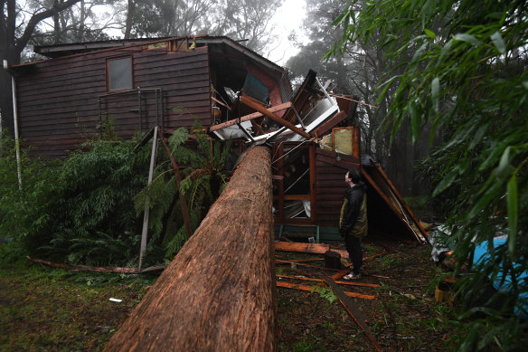 A resident of Olinda, east of Melbourne, was lucky to escape his home after a large tree smashed through his bedroom - missing his bed by less than a metre. 